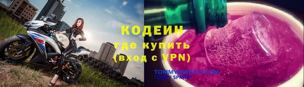 дмт Инсар