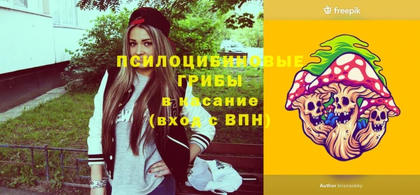 мдпв Инта
