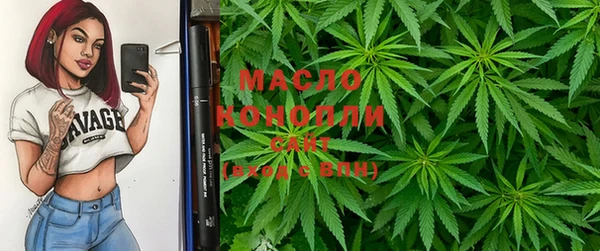 дмт Инсар