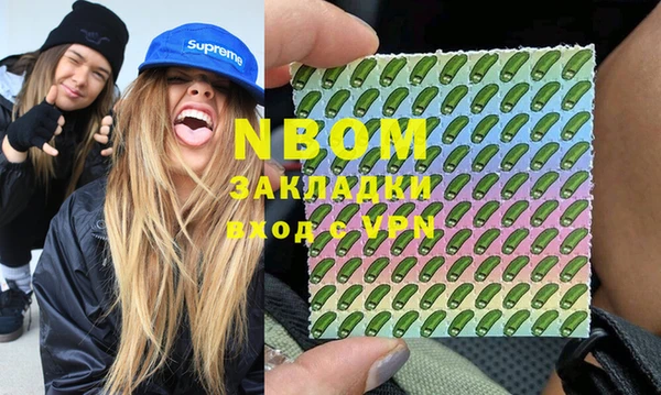 дмт Инсар