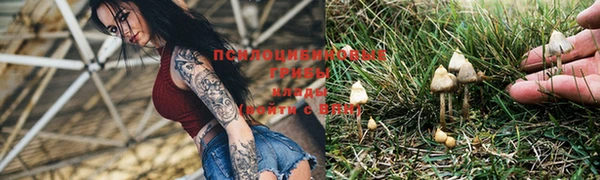 МДПВ Зеленокумск