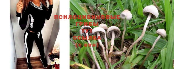 дмт Инсар