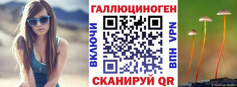 Галлюциногенные грибы MAGIC MUSHROOMS  где можно купить   Краснозаводск 